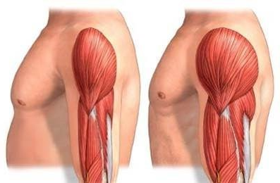스스로 근육이 녹아버리는 희귀병, ‘근위축성 측삭경화증(ALS)’