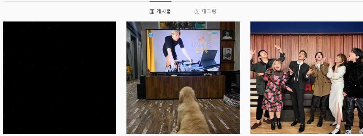 박은석 강아지 파양 인정