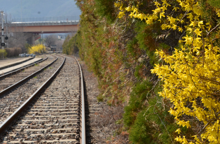 경강 레일바이크