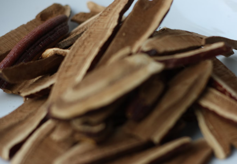 영지 버섯 효능 : 항산화 효능