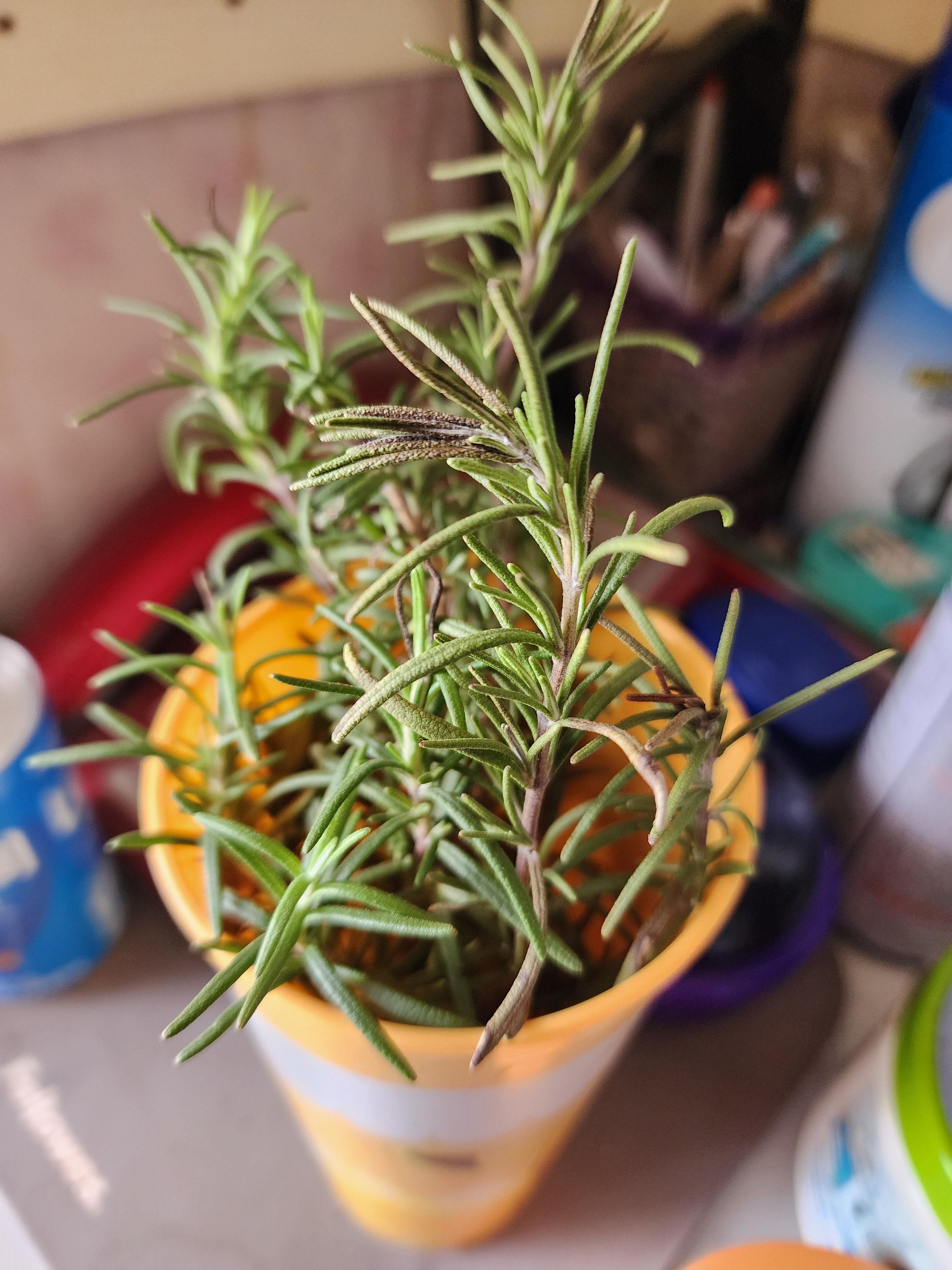 Alt 속성 문제 해결 설명 이미지