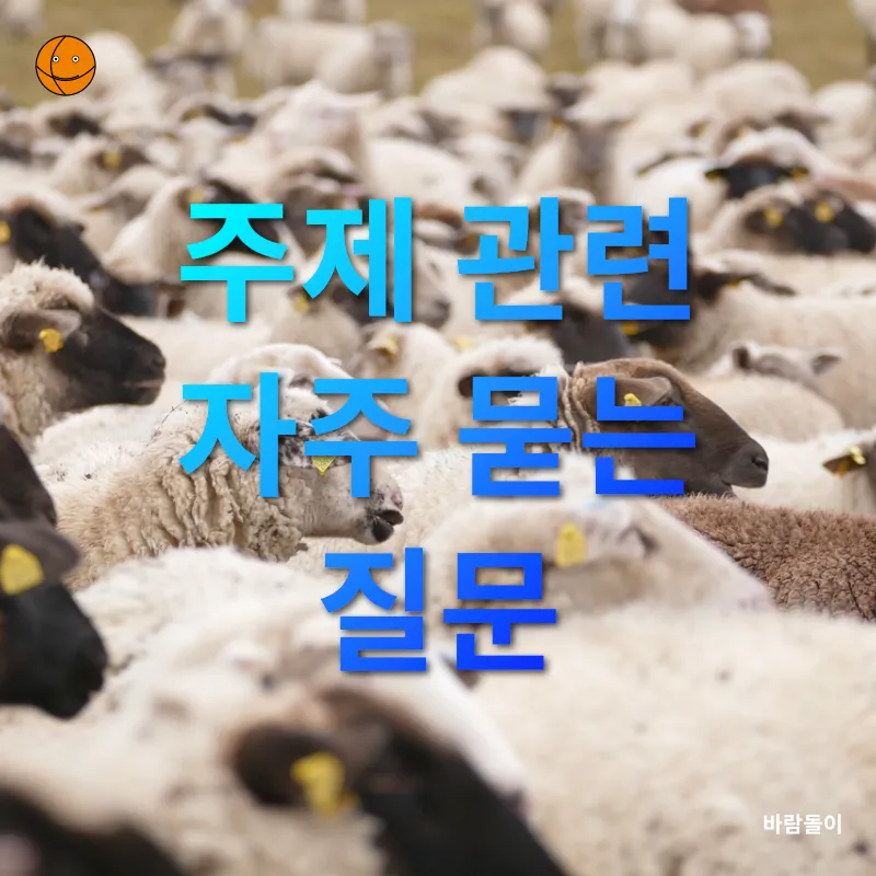 주식 포트폴리오_4