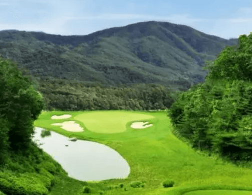 BMW 레이디스챔피언십