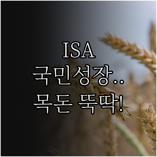 안정적인 목돈 마련을 위한 ISA 국..