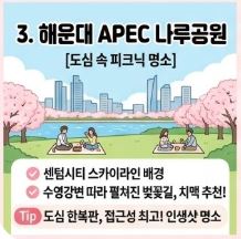 동부산 벚꽃 명소 BEST 4