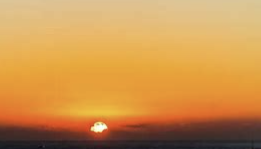 ENTJ 유형 특징 분석