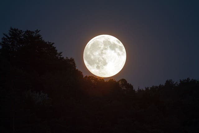 낙산해변 달빛 모닥불 축제