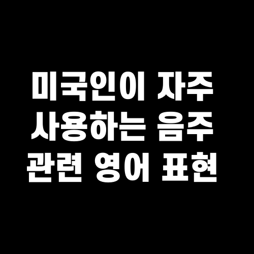 미국인이 자주 사용하는 음주 관련 영어 표현