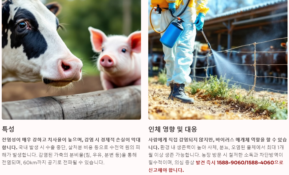 구제역의 특성과 인체 영향 및 대응