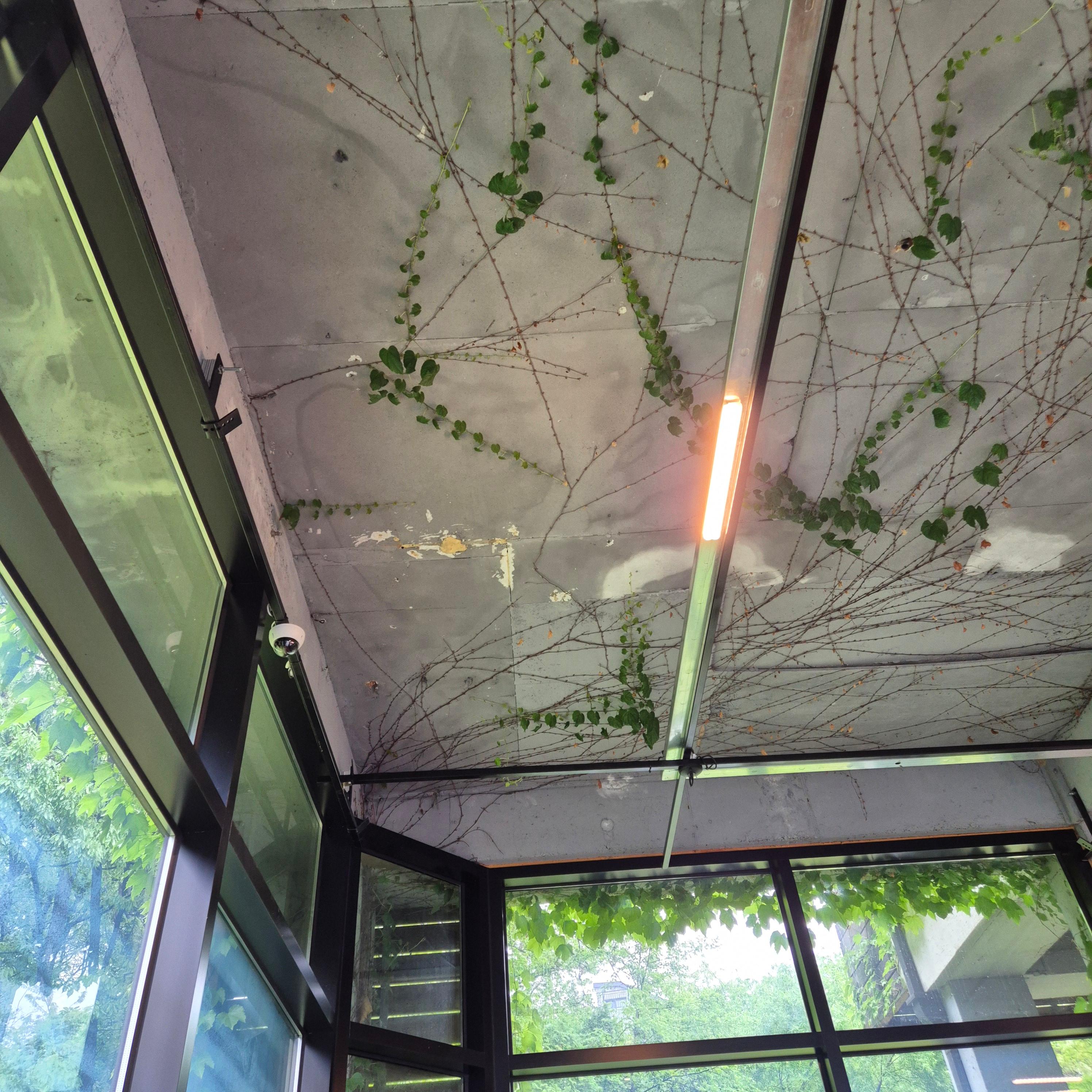 카페일층, 김포 석모리카페, 디저트맛집, 카페일층,김포카페,석모리카페,김포디저트카페,초콜릿퐁당맛집,돼지감자아이스크림,김포감성카페,숲뷰카페,카페일층후기,김포데이트코스,김포숨은맛집