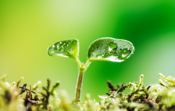 간호간병통합서비스