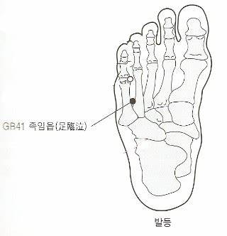발등 임읍혈 위치