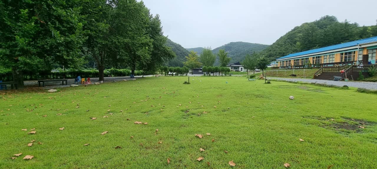 제천-오손도손캠핑장-잔디밭-전경