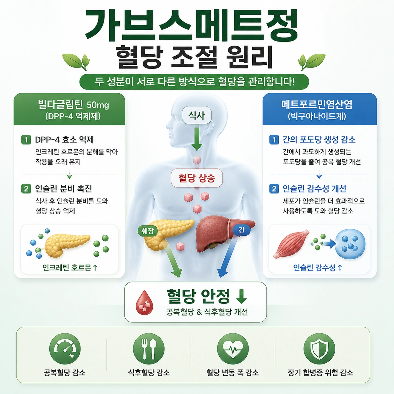가브스메트정_본문2_혈당조절원리