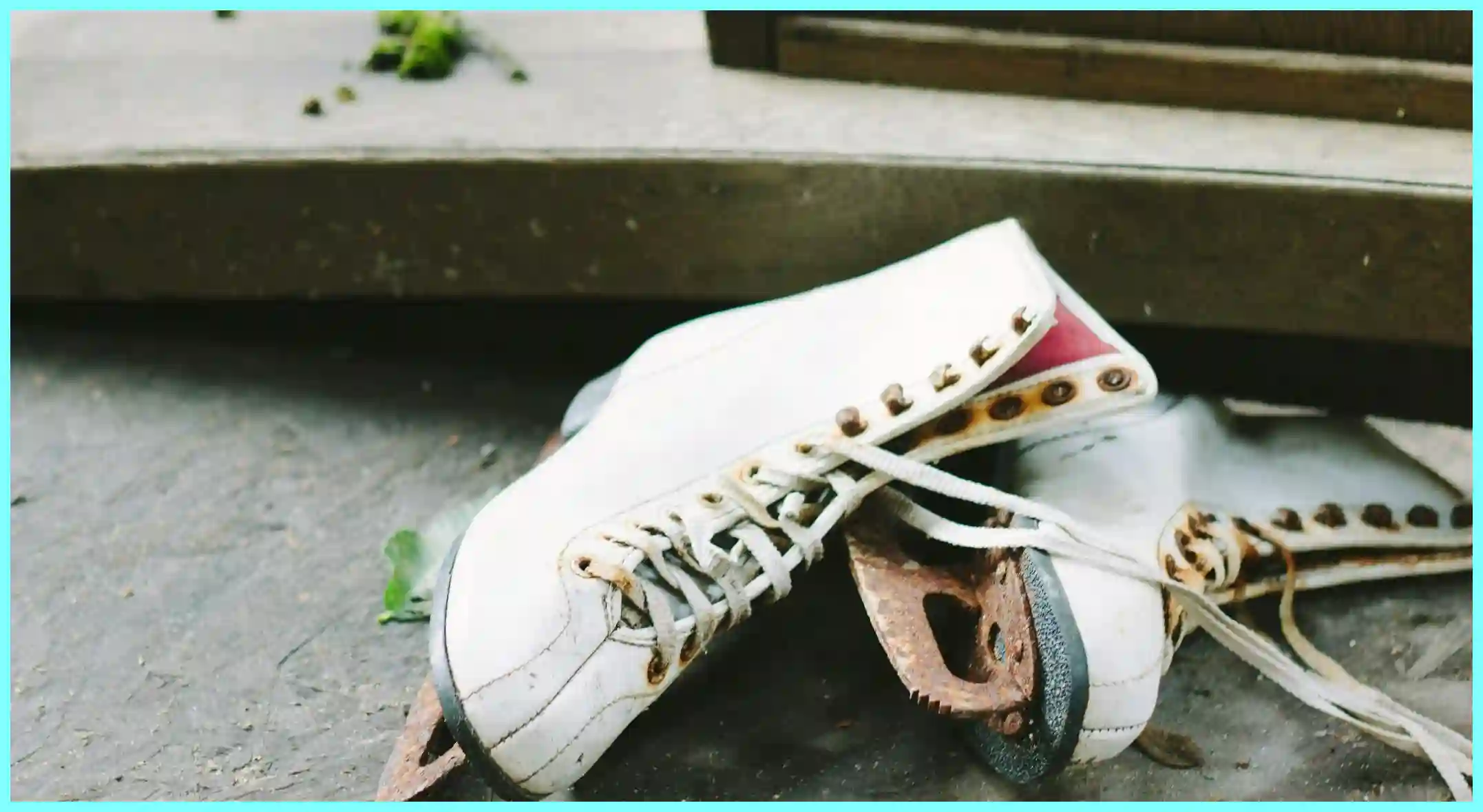 쇼트트랙 월드컵 일정 국가대표 명단 결과 월드 투어 2024-25