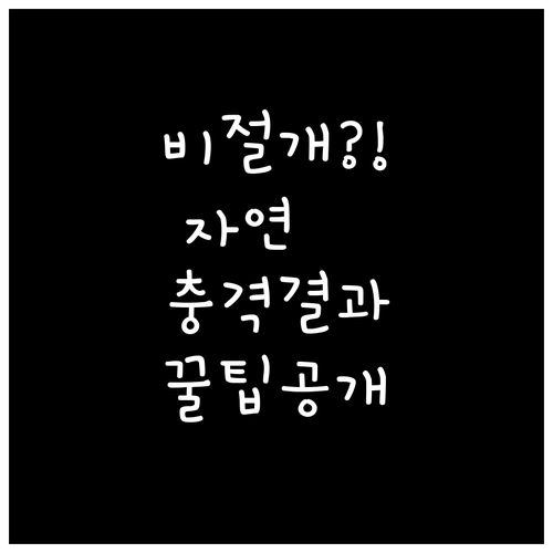 비절개 모발이식 자연스러운 결과의 모..