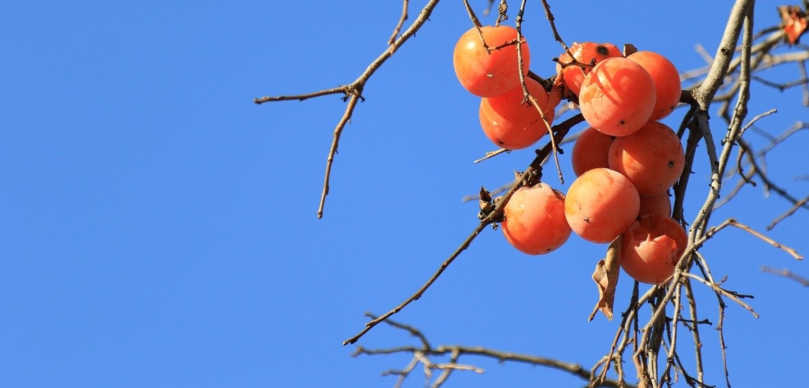 주일대표기도문 11월 둘째주