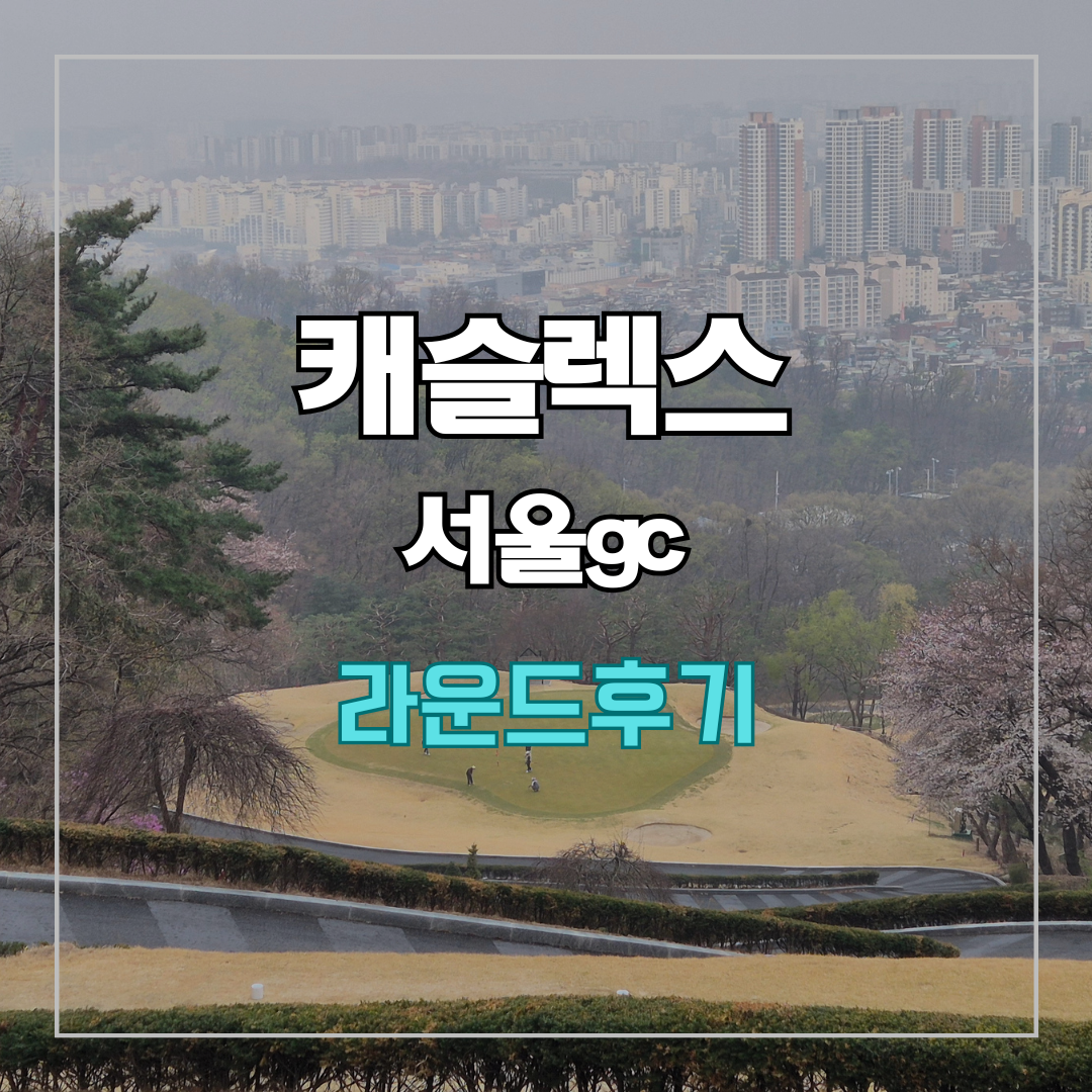 캐슬렉스