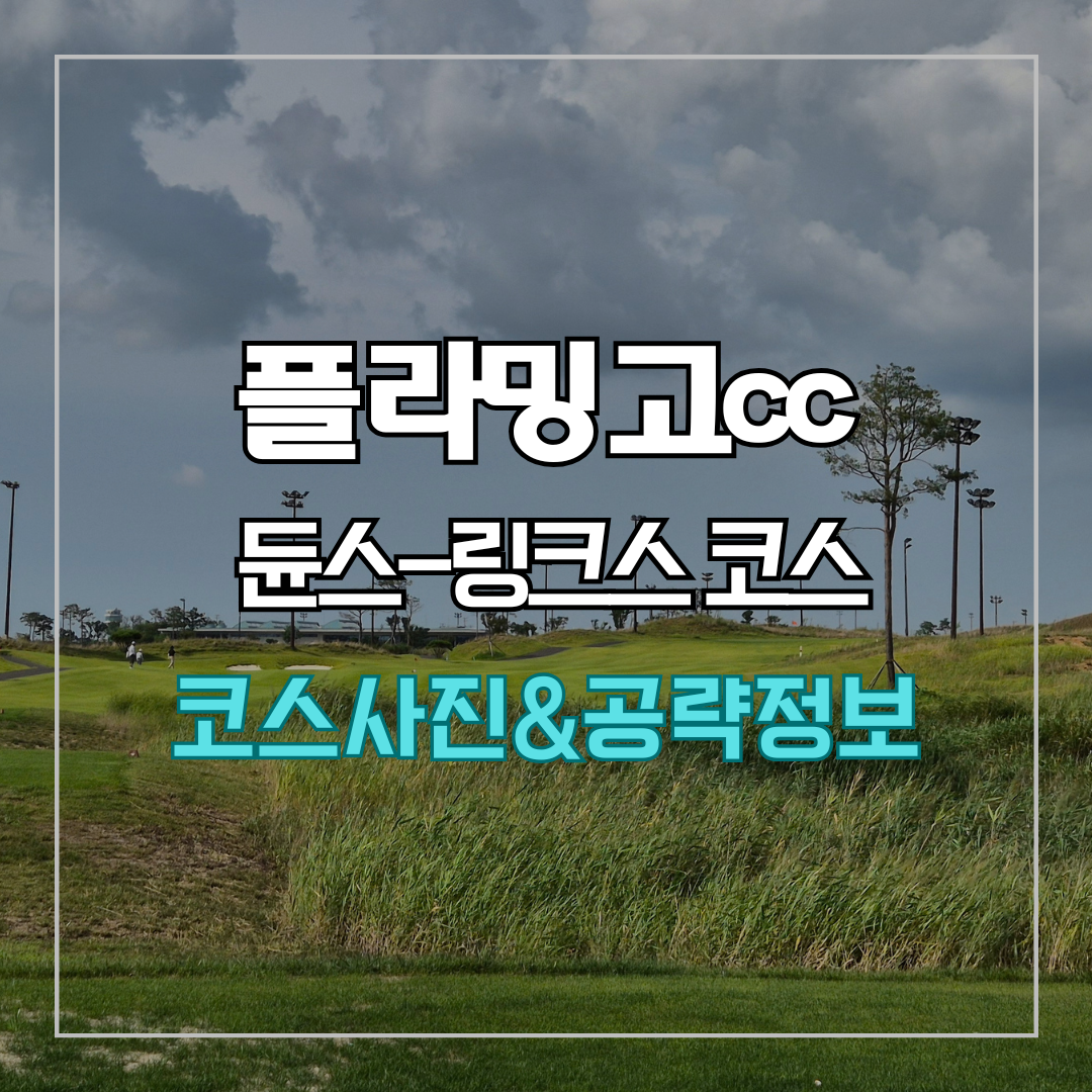 플라밍고cc 듄스-링크스 코스 사진 및 공략 정보