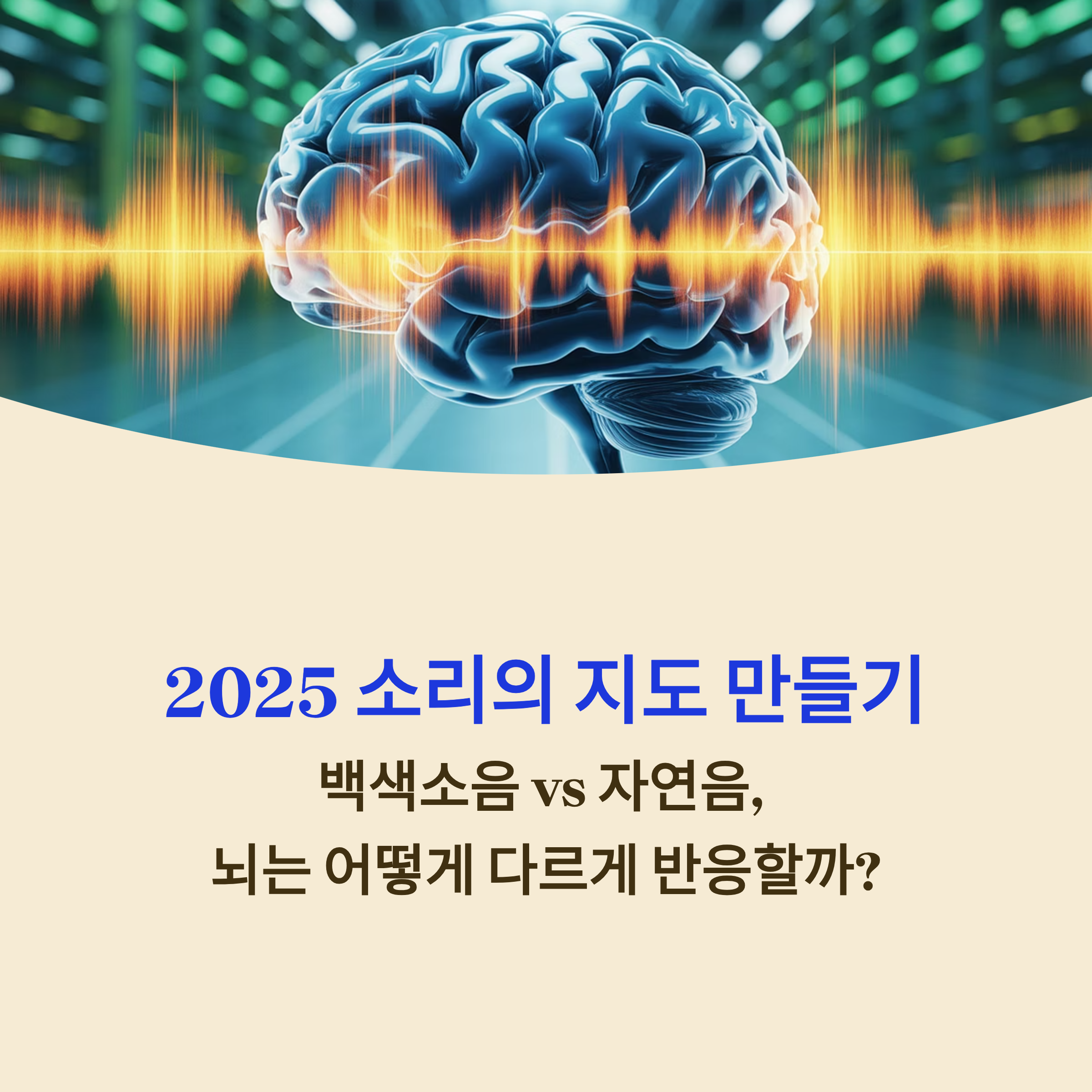 2025 '소리의 지도 만들기'