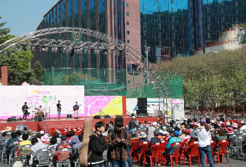 가평 벚꽃명소 에덴벚꽃길 벚꽃축제