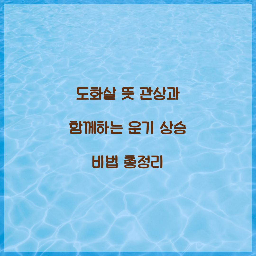 도화살 뜻 관상