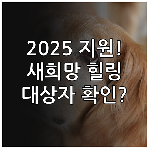 금융 피해 취약계층 전용 2025 새..