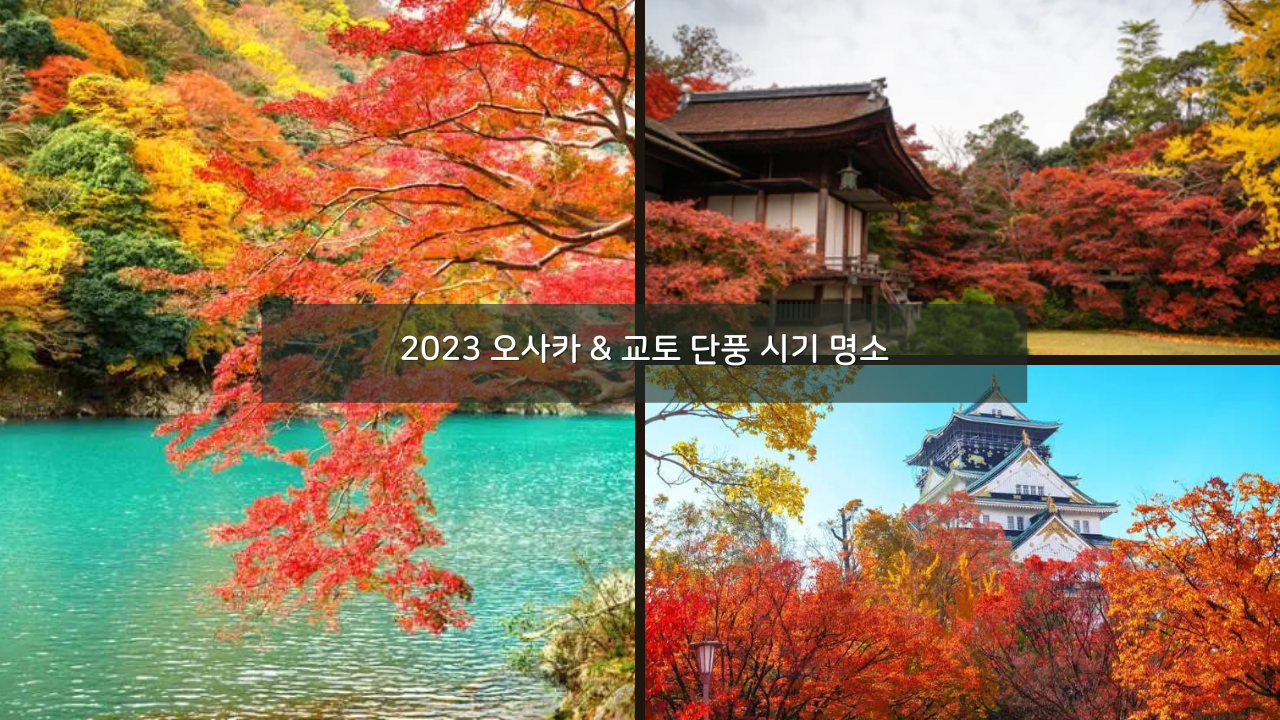 2023 오사카 & 교토 단풍 시기 명소 가볼만한곳 BEST 05