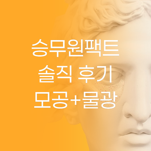 승무원팩트의 진실! 뷰디아니 쿠션, 