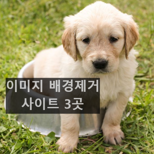 이미지 배경제거 포토샵없이 가능한 3곳