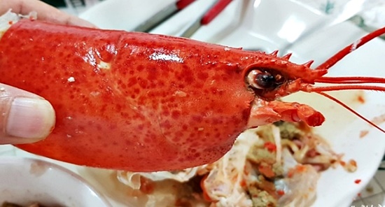 홈쇼핑에서 주문한 자이언트킹 랍스타