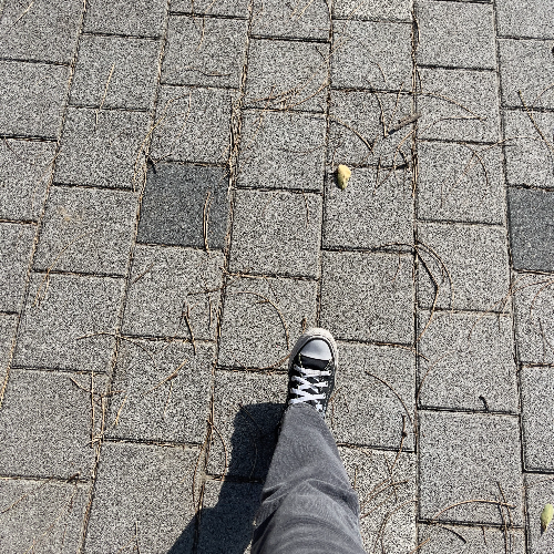 일상