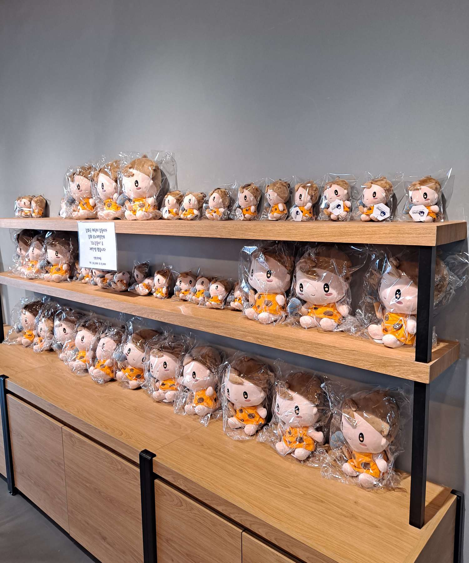 카페모노 귀여운 인형 진열대