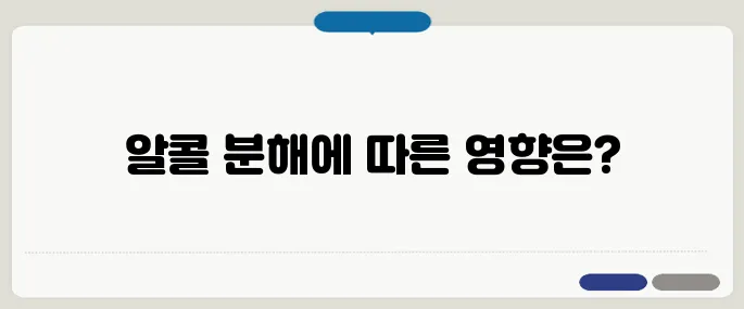 알콜 분해 시간 얼마나 걸릴까 음주 다음 날 운전 괜찮을까