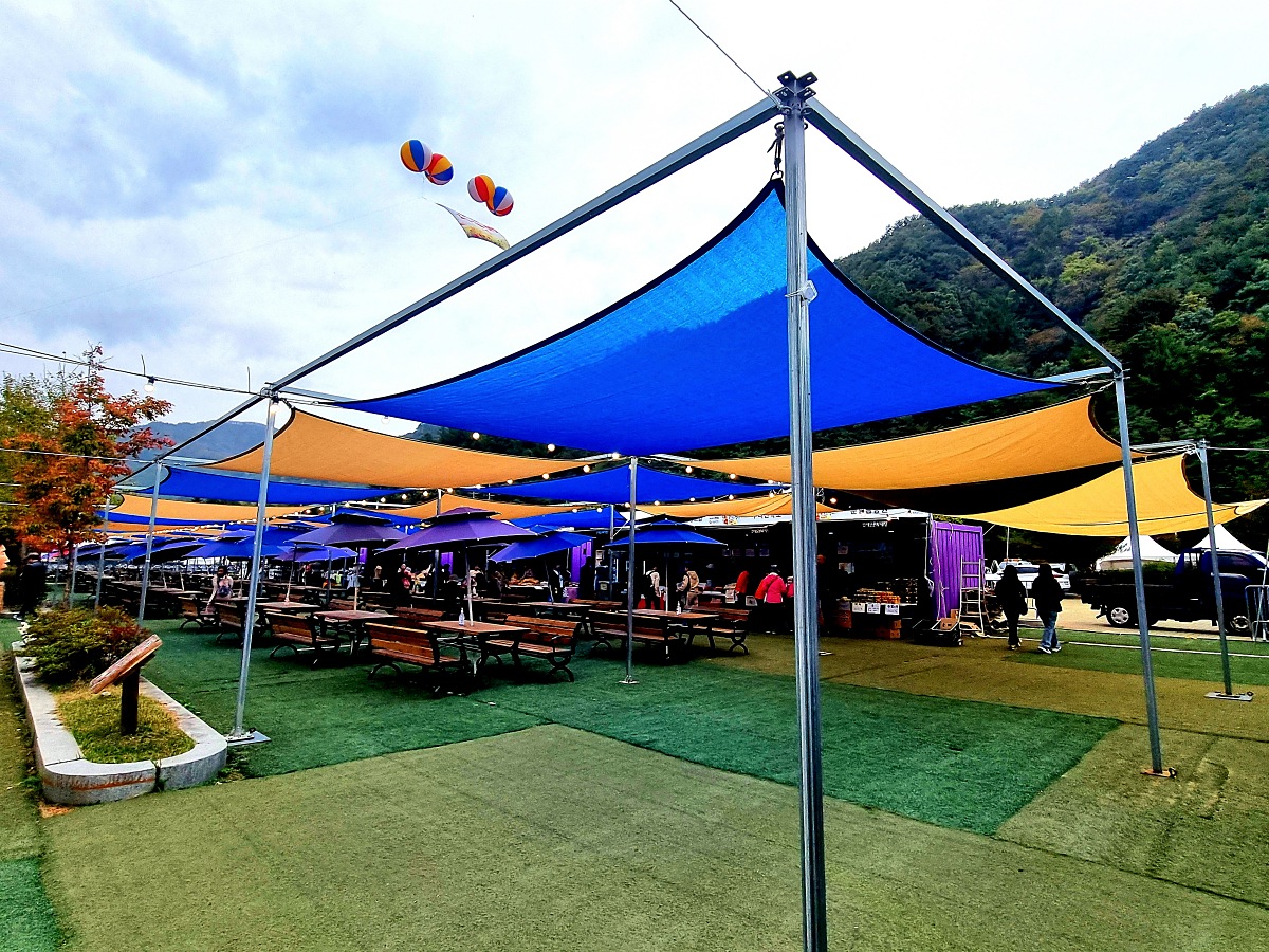 다시 찾아간 2024 인제 가을꽃축제: 국화, 야생화, 수변산책로, 숲 속 꽃길의 매력