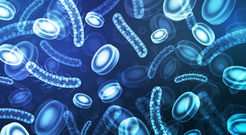 암세포를 표현한 사진