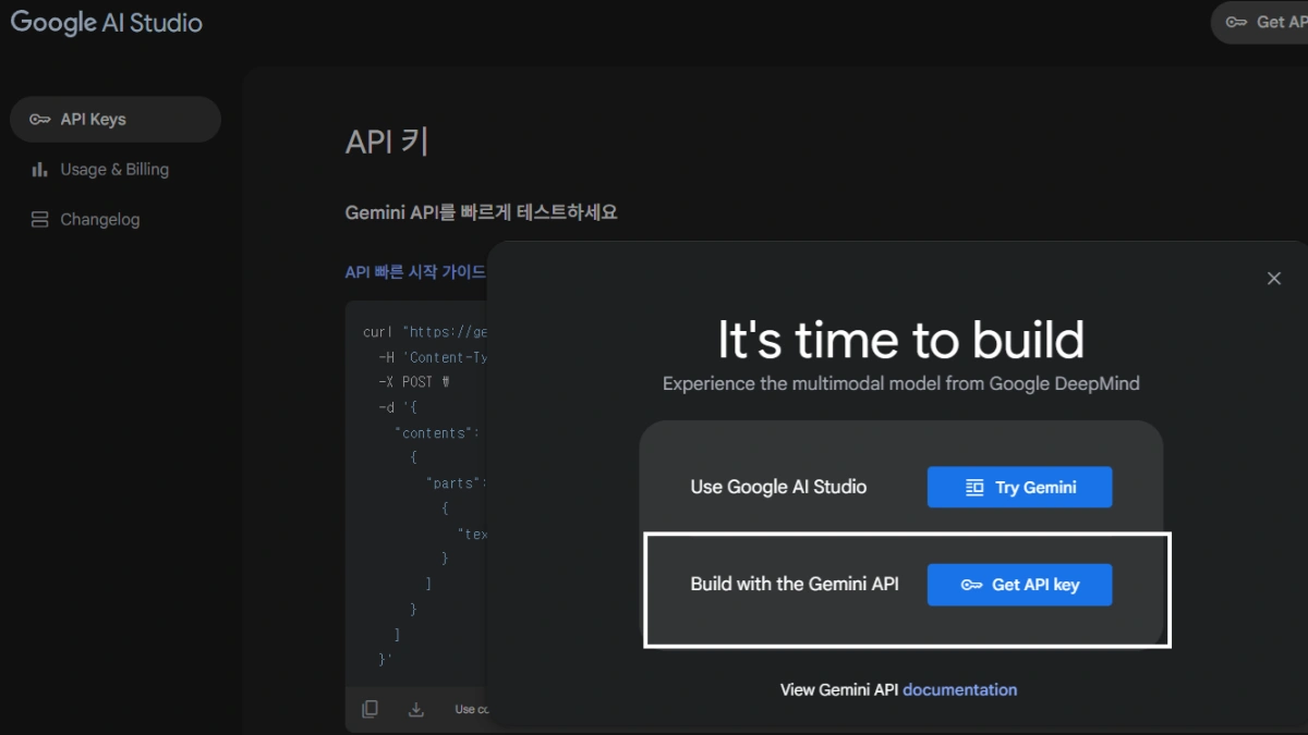 Google AI Studio 접속 화면