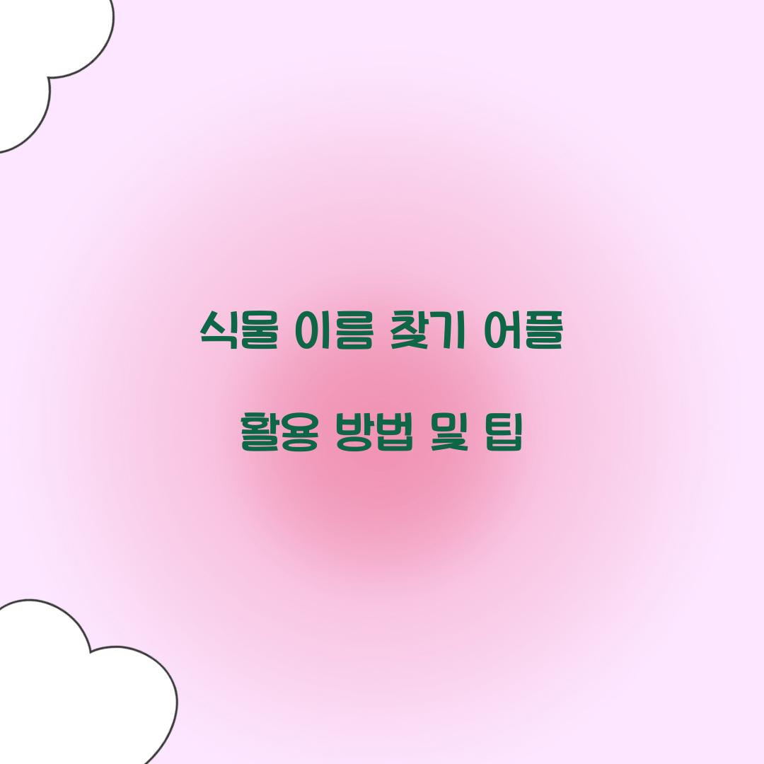 식물 이름 찾기 어플