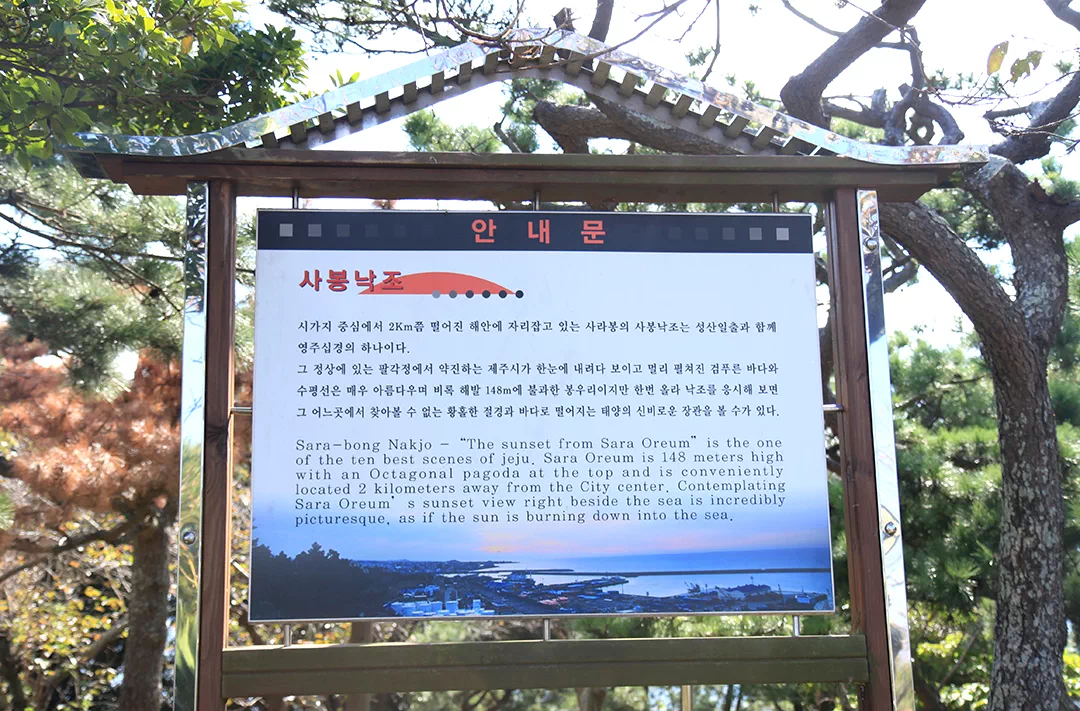 제주 올레길 18코스 김만덕기념과 - 조천 올레 완주 후 코스별 상세 안내 가이드