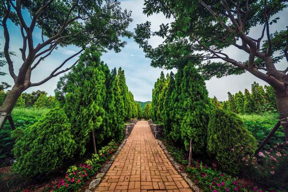 천사섬 분재공원