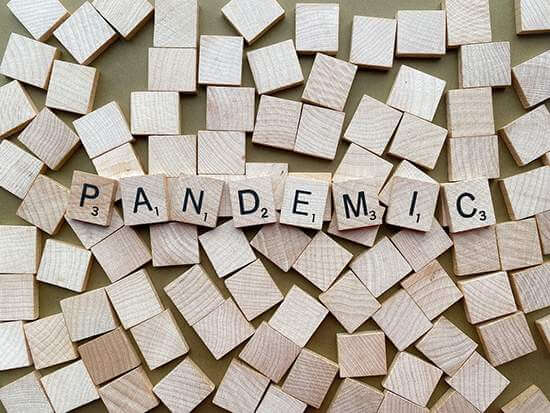 니파바이러스 관련주(테마주)