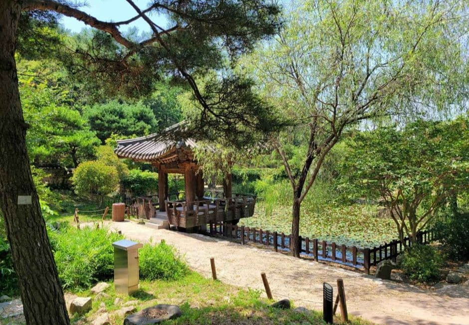 충남 태안 봄 여행지 BEST 3｜천리포수목원 목련(봄꽃)축제 주변 여행지