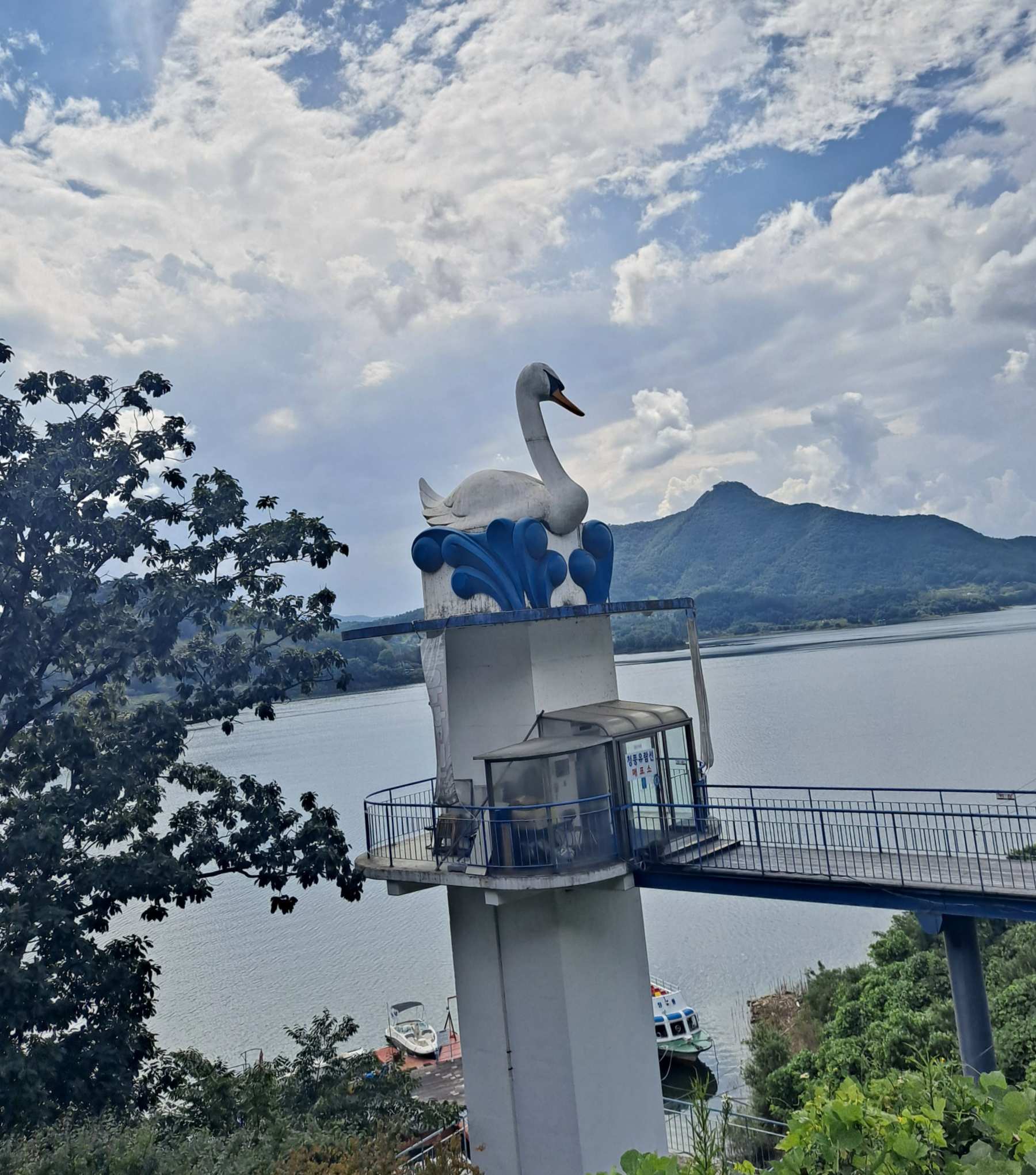 청풍랜드 백조선착장
