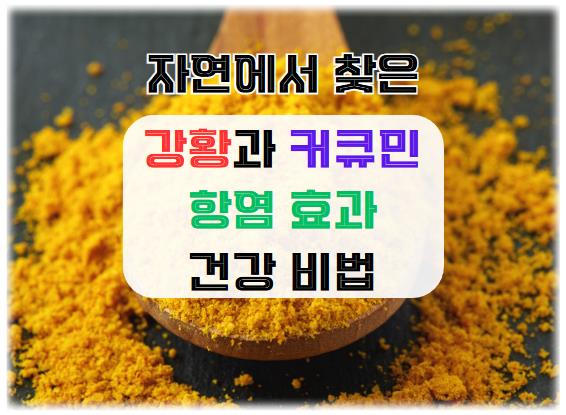강황과 커큐민의 항염 효과: 자연에서 찾은 건강 비법