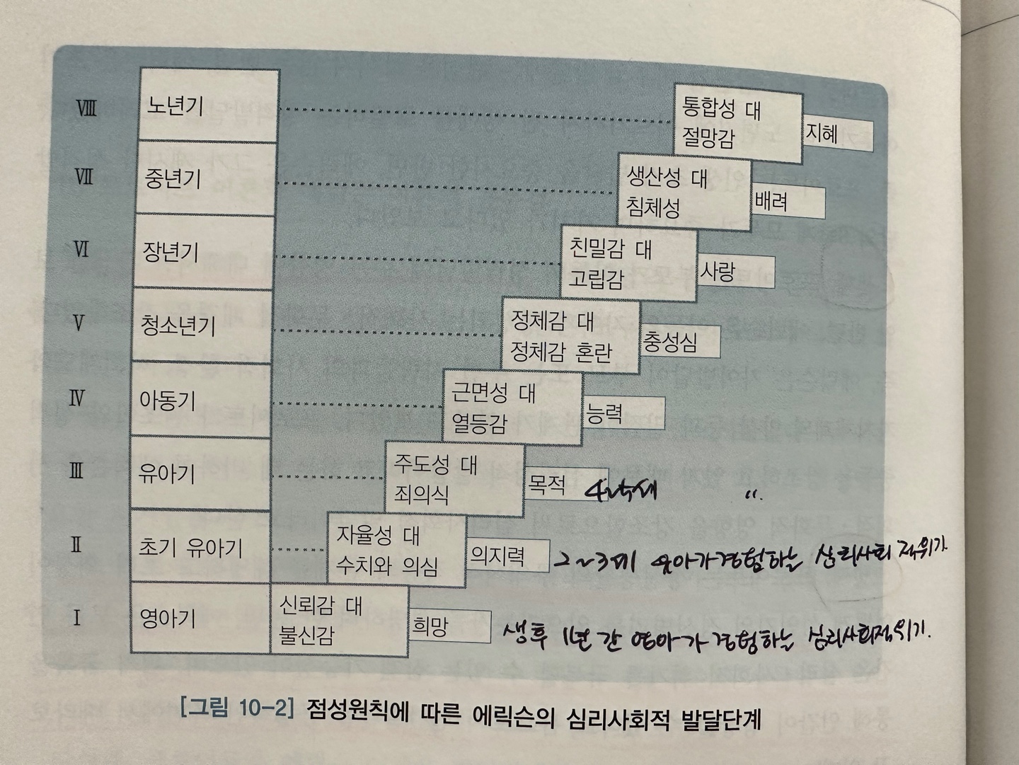 심리사회 발달단계,신뢰감 대 불신감,자율성 대 수치심, 근면성 대 열등감