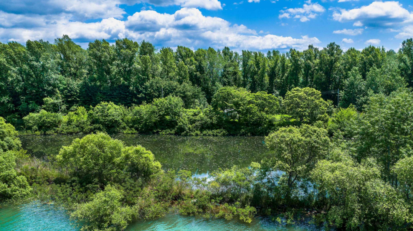 남양주 물의 정원