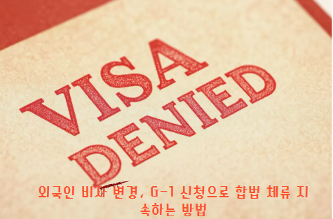 G-1 비자 주요 대상