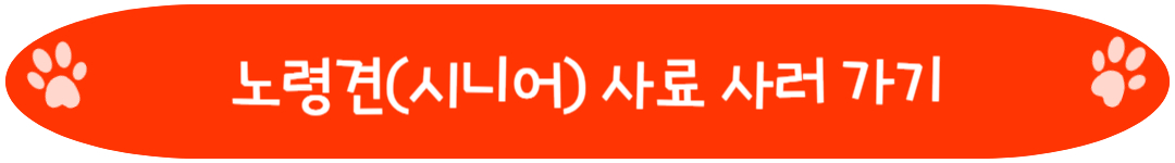 노령견 시니어 사료