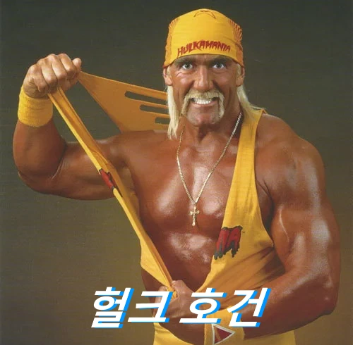 헐크 호건 별세 명복을... 사망 헐크 호건 프로필 나이 필살기 수상 영화 프로레슬링