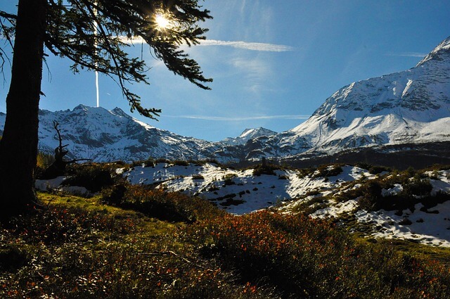상속 토지에서 문화재 발견 상황 대응법